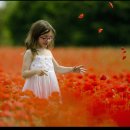 아름다운 노래, 민요 이미지