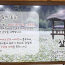 솔막국수 - 춘천시 후석로59번길 16-18 | 솔막국수