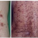 경희맑은한의원 이미지