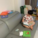 [내돈내산] 두돌부터 5살 아들도 혼자서 잘 보는 베베코알라 솔직후기 두돌전집 추천