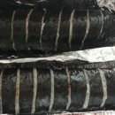 동주김밥 네이버블로그