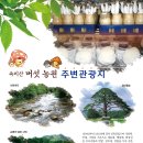 속리산농원