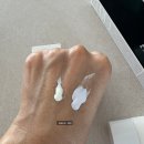 헤라(HERA) | HERA UV PROTECTOR 헤라 선크림, 내돈내산 구구절절후기