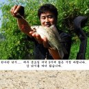 벽수지 이미지