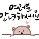 UFC 국제 GYM 이미지