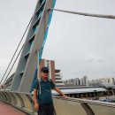 서리풀길 9 이미지