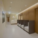 비올라셀성형외과의원 이미지