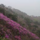 용혈1리 | 강화지맥(1구간) : 별악봉-봉천산-고려산-혈구산-퇴모산 구간