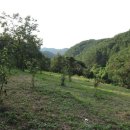 일반성면-1 이미지