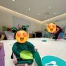 5-touch 오감발달 프리미엄 폴딱폴짝 개구리 후기