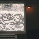 벵디1967