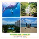 하나팩