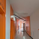 인천당산초 이미지