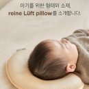 창조 크리닝 | 라비킷 두상베개 : 신생아 두상 필수템 사두증 예방템 @ Lavikit