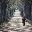 산림자원연구소 이미지