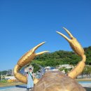 영덕해상풍력발전 | 영덕 여행 코스 해돋이부터 풍력단지까지 하루 완벽 루트