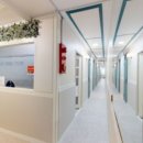 스테이다정 이미지