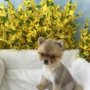 개편한 미용# 이미지