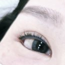 보담브로우 | 대전 도안동 속눈썹펌 관저동속눈썹펌)) 보담브로우