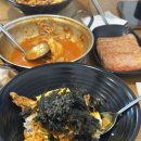 분포나인 이미지