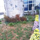 수양동주민센터 이미지