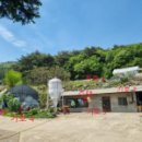 강림면375 이미지