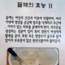 들깨마을