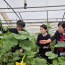 옥산축산 이미지