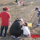 박상수농장 이미지