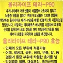 컬러하우스