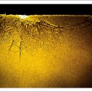 예우농장 이미지