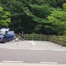 인제공원 | [신상캠핑장후기]인북천물빛테마공원캠핑장_강원도 인제 캠핑장 / 시설리뷰(샤워장,화장실,개수대...