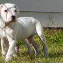 도고농장 이미지