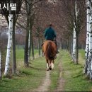 성정고시원