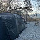 용인단풍숲캠핑장 | 경기도 용인 단풍숲캠핑장 사자사이트 시설 정보 애견동반 캠핑장