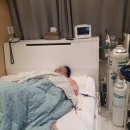 감행 | 코골이 수술 후기 (과정, 수술부위, 부작용 상태 공유)