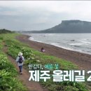 오늘 숲에는 [제주올레길 2코스] KBS제주 240723방송 이미지