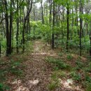 불당14로 이미지