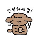 애견깍새 이미지