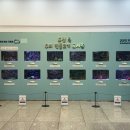 책마루 의왕시 중앙도서관 이미지