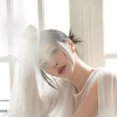 님프플라워 이미지