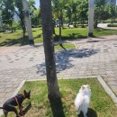 주제공원4호(공원관리사업소) 이미지