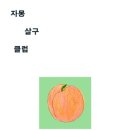 양양이네