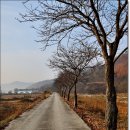 마을회관앞 이미지