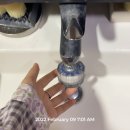 엘에이치몰 | 나도 이제 으른 다 됐네.. 게으른