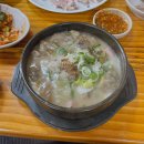 전현무가 찾은 최고의 해장국은? 전현무계획 출연 국밥 맛집 5 이미지