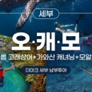 모알보알 이미지