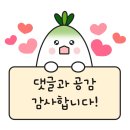 샤넬 | 부산 광안리 카페 "치플레" 디저트계의 샤넬 방문후기!