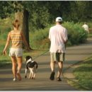 태종한의원 이미지