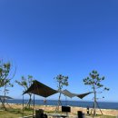[캠핑후기 ⛺️⛺️] 염전해변 캠핑장 일출 넘넘 좋은데 새해캠 예약좀 해줄 수 있을까..? 🥹